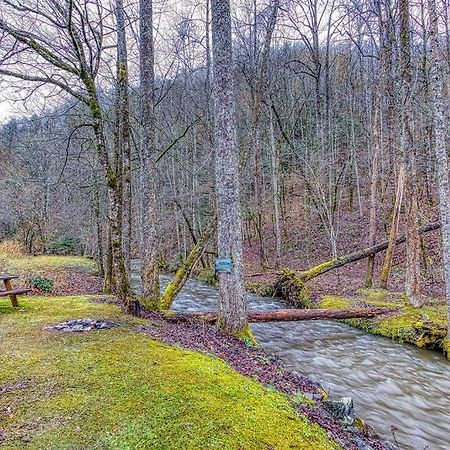 Black Bear Falls Villa Gatlinburg Exterior photo