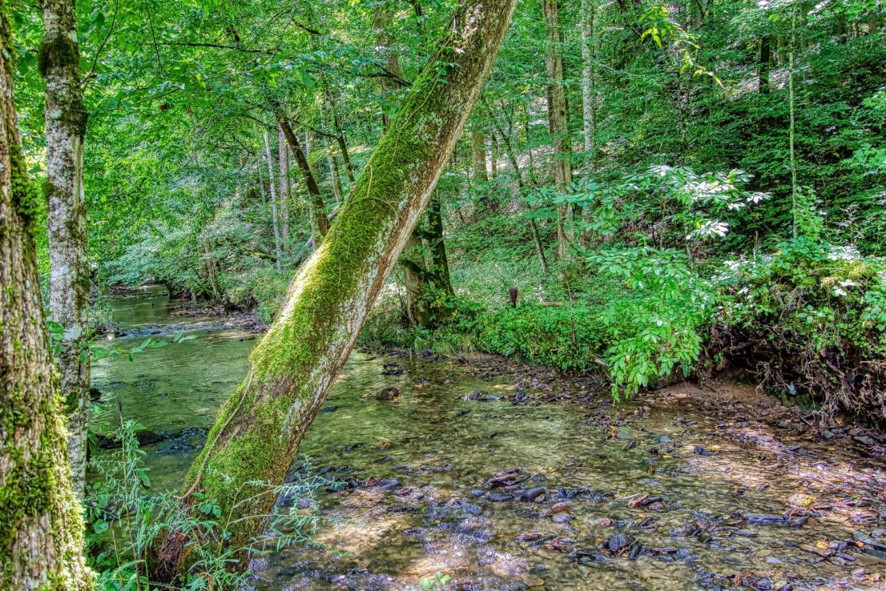 Black Bear Falls Villa Gatlinburg Exterior photo